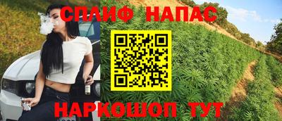 apvp Севастополь